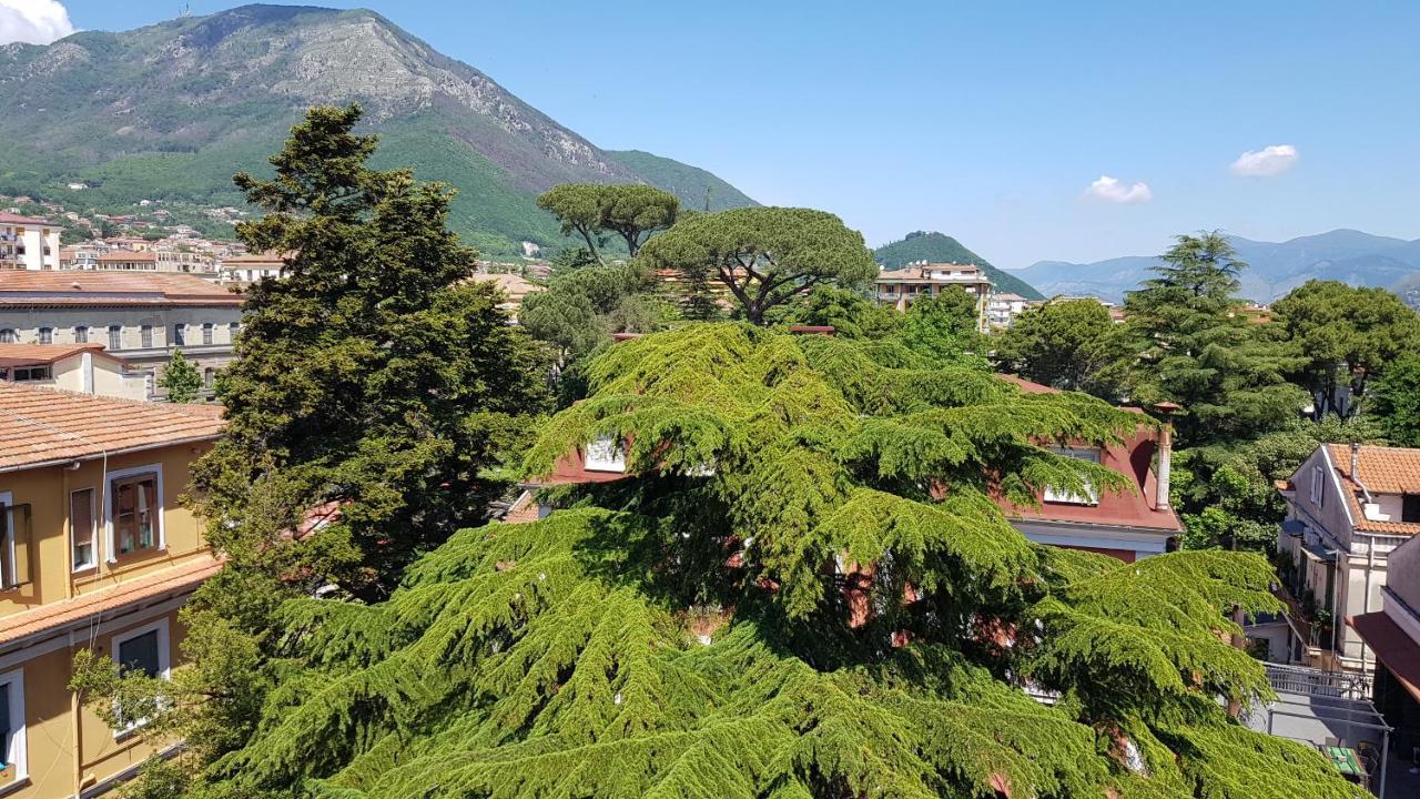 B&B Il Cedro Cava deʼ Tirreni Екстериор снимка